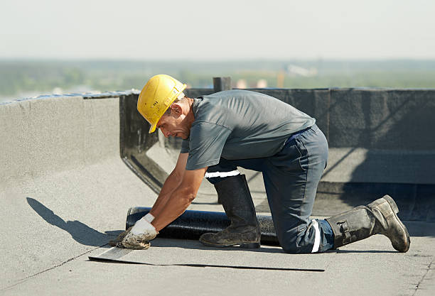 Best Insulation Maintenance and Repair in Morris Plains, NJ